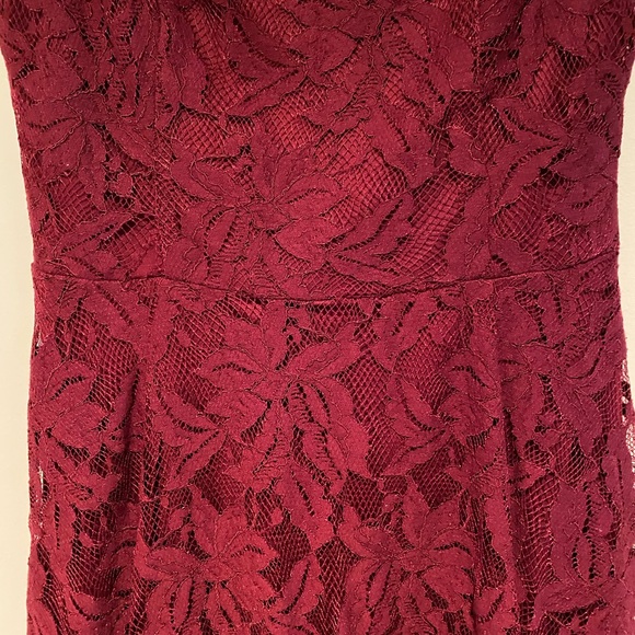 Alya Lace Skater Dress - Picture 4 of 5